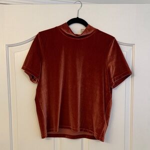 Madewell NWT Velvet Short Sleeve Top in Rust
